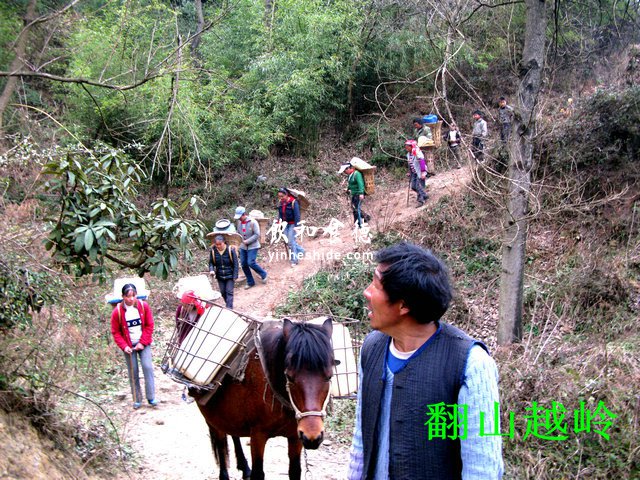 盐马古道走出的传奇火腿鲜香四溢