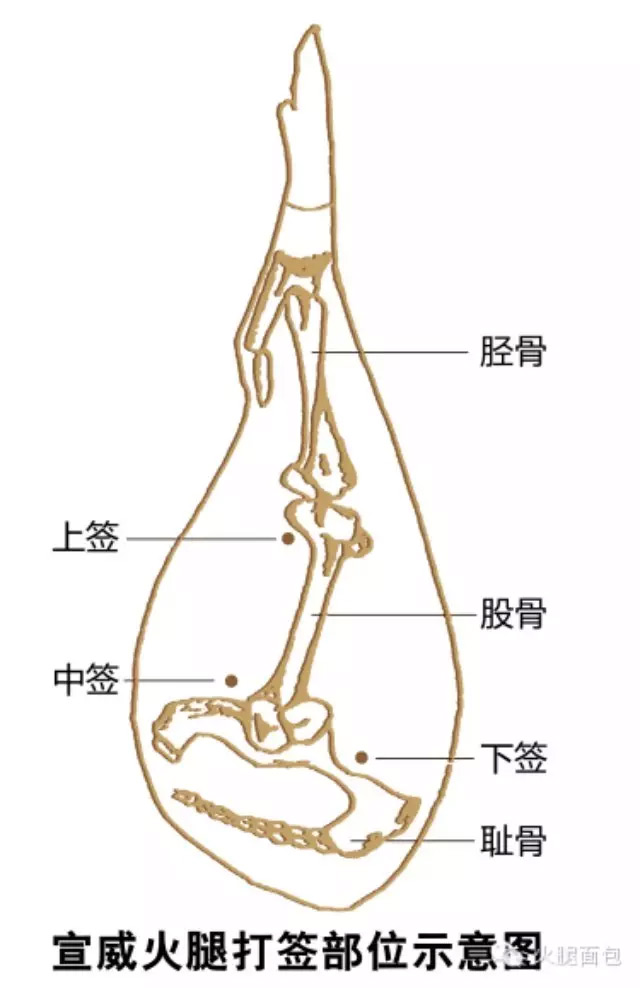 闻其香便能知其味